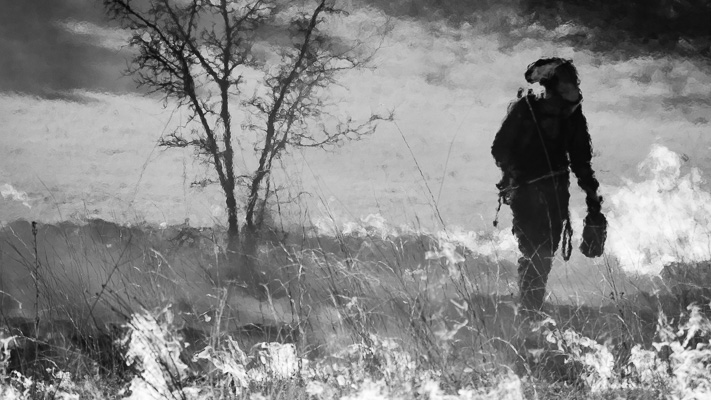 Wet Meadow Controlled Burn